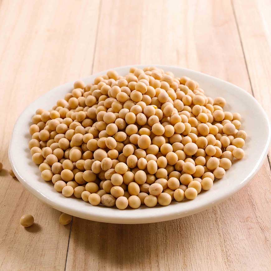 黃豆 大豆 600g 台灣主婦聯盟生活消費合作社 黃豆 大豆 600g 台灣主婦聯盟生活消費合作社