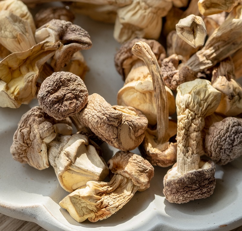 有機乾姬松茸 台灣主婦聯盟生活消費合作社