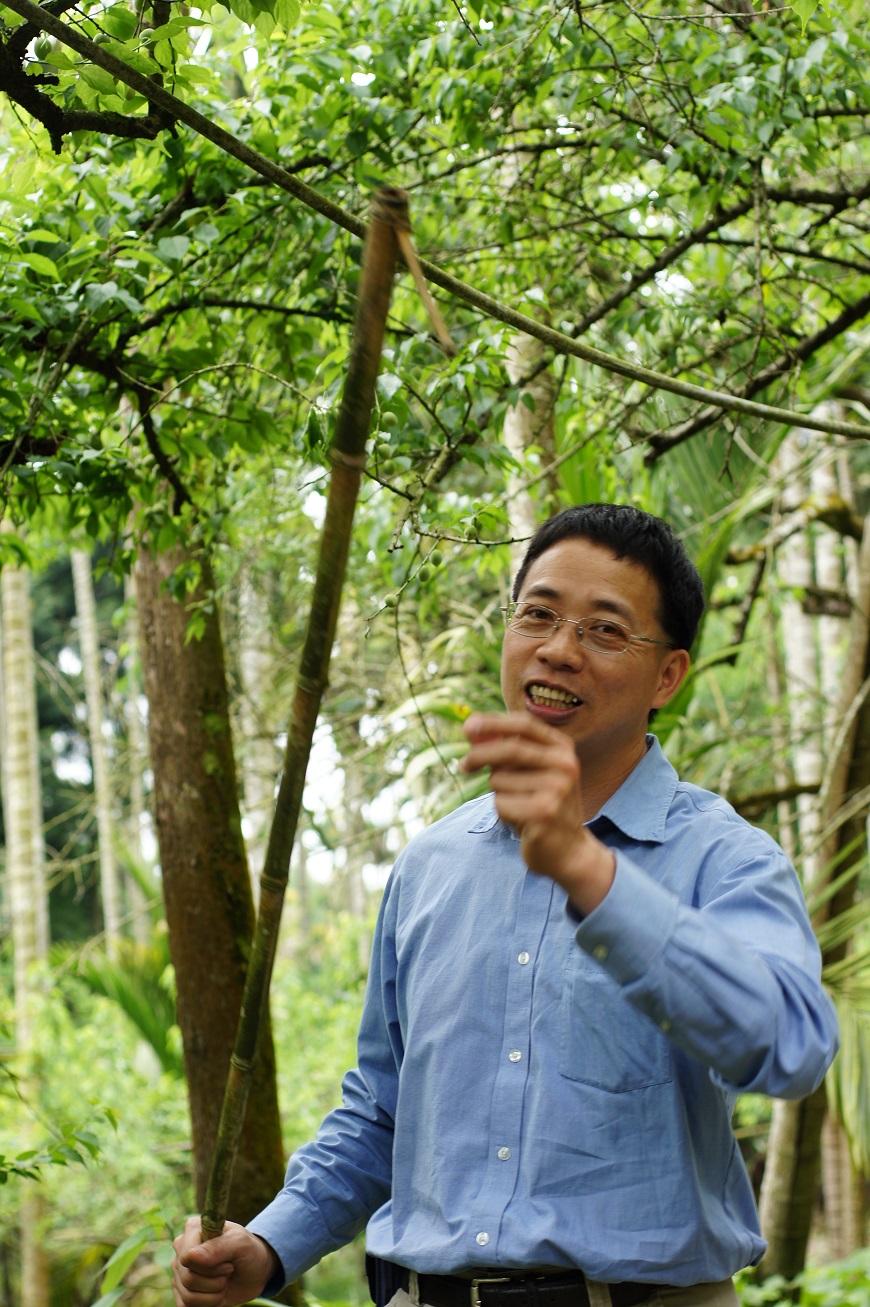 115-201304-產品平台- 細工慢活 梅子品味-圖04