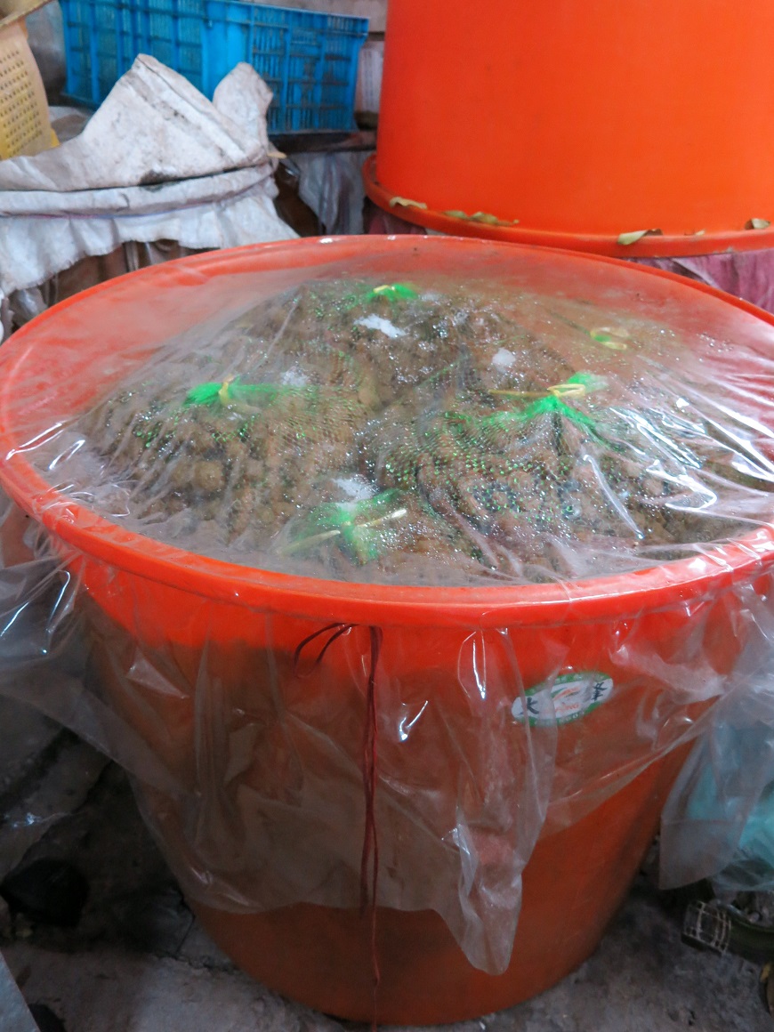 115-201304-產品平台- 細工慢活 梅子品味-圖05