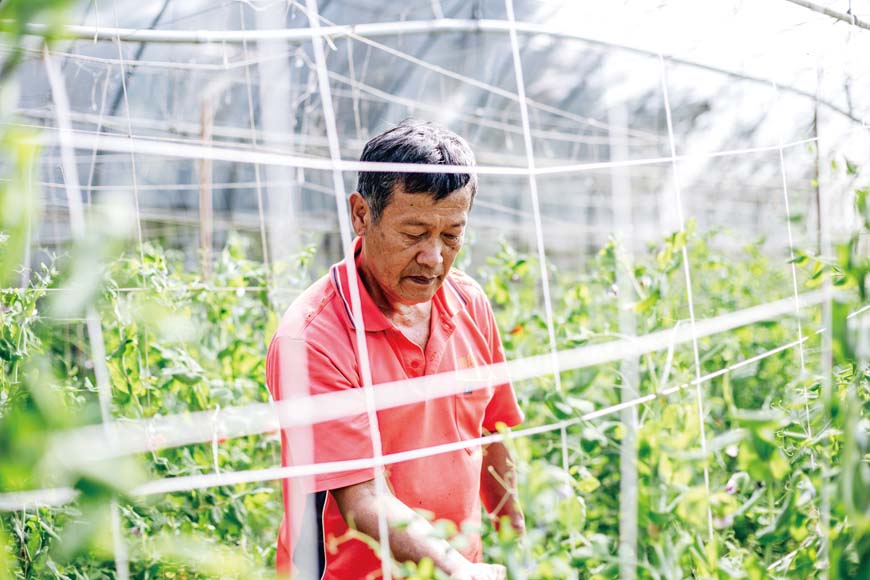 河谷裡的有機先行者 我的菜是微生物養大的 台灣主婦聯盟生活消費合作社