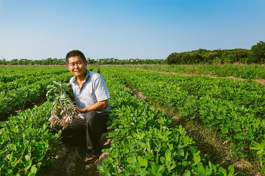 面對田間被蟲吃掉的作物產量損失，合作社資深農友王建朝笑笑地說：「蟲吃剩下的，才是我們人吃的！」