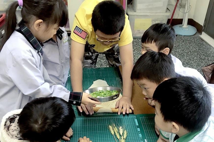 家裡就是雜糧教育現場 工作繁忙的你，有多久沒和孩子一起準備餐點？一起去主婦聯盟合作社或傳統市場買菜吧！市場和廚房即教室，共同烹煮就是最好的食農教育。種植一盆小麥，部分製作小麥草汁，其餘則可觀察記錄小麥成長，成熟後磨成小麥粉，摻入麵糰中，製作蔥油餅、鬆餅、麵疙瘩。透過「酸、甜、苦、辣、鹹、鮮」六味，喚起生命深層記憶，「視、聽、嗅、味、觸、心」六覺，啟動跨領域學習。