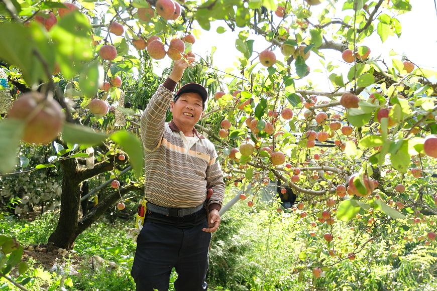 林浴沂堅持減藥栽培，自己種得心安，大家也能吃得安心。