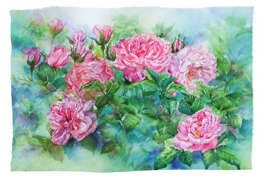 繪畫。玫瑰花園。務農生活。心情小語。