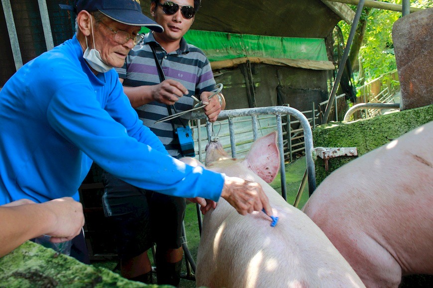 花肉社,主婦聯盟合作社,中秋預購