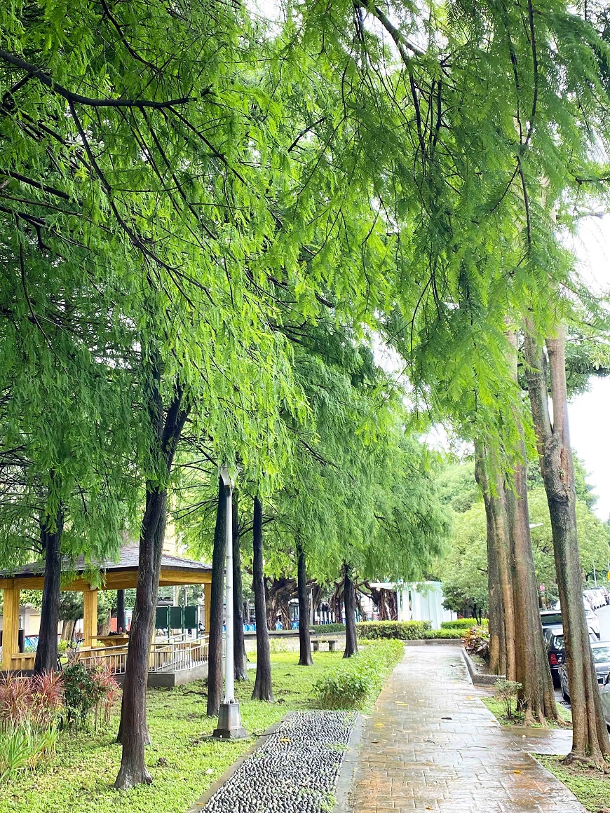 外雙溪河濱公園