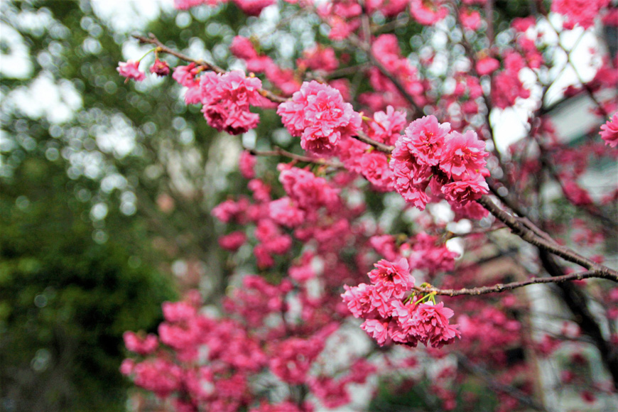 道南河濱公園