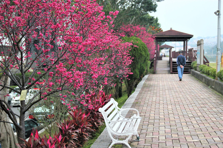 道南河濱公園