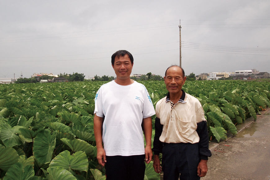 各種 芋類栽培法 富益義衛 日本種苗出版部 芋類栽培法