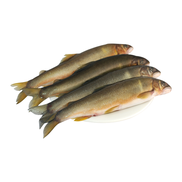 25-香魚