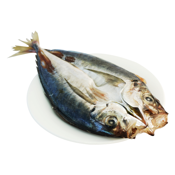 26-背開竹筴魚