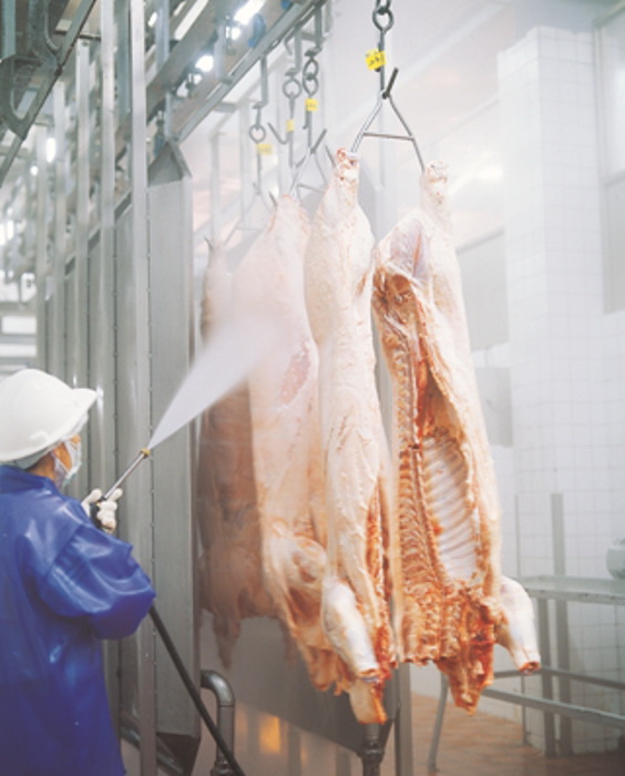 生產者信功的員工正在輕洗豬肉
