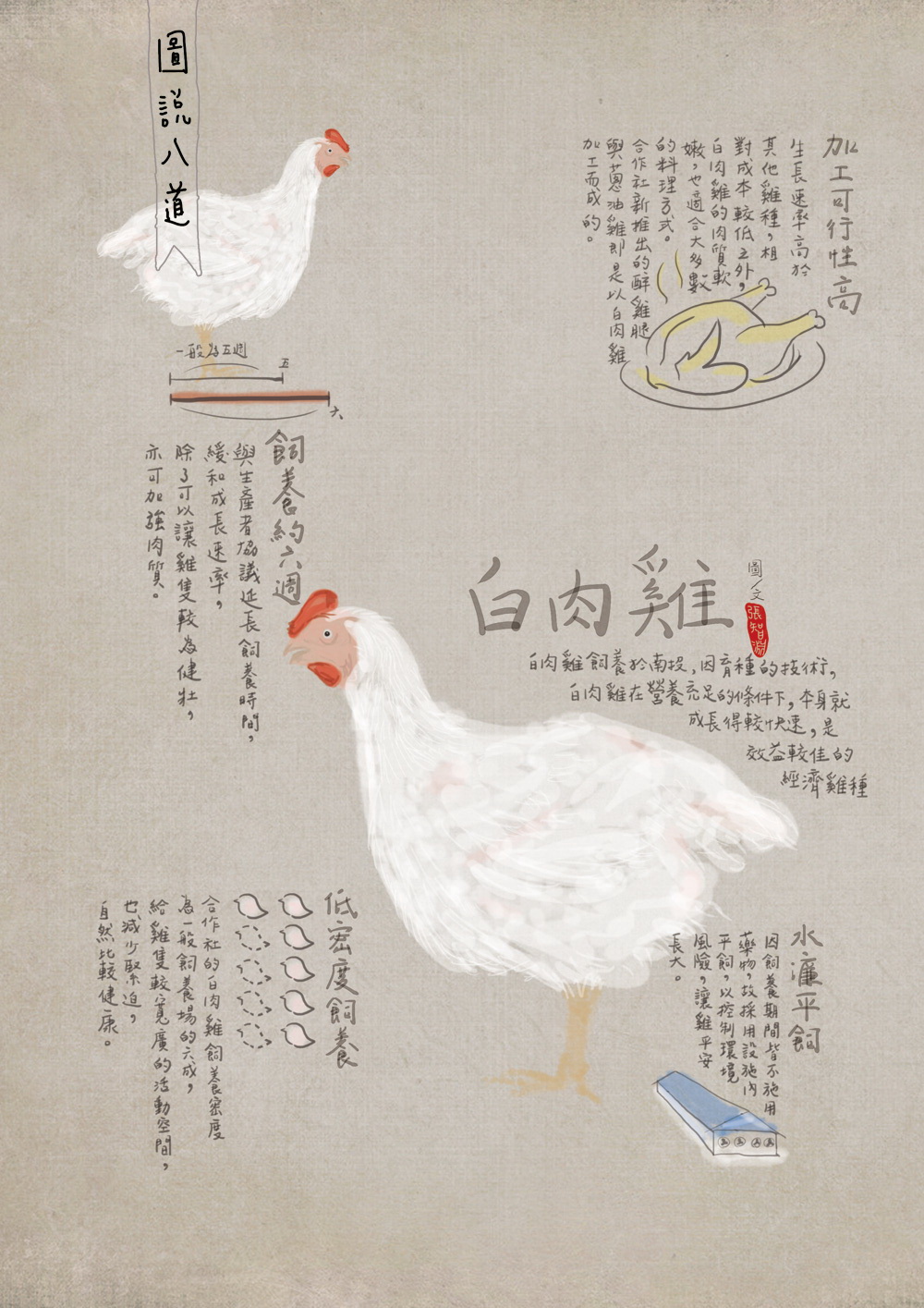 白肉雞_f